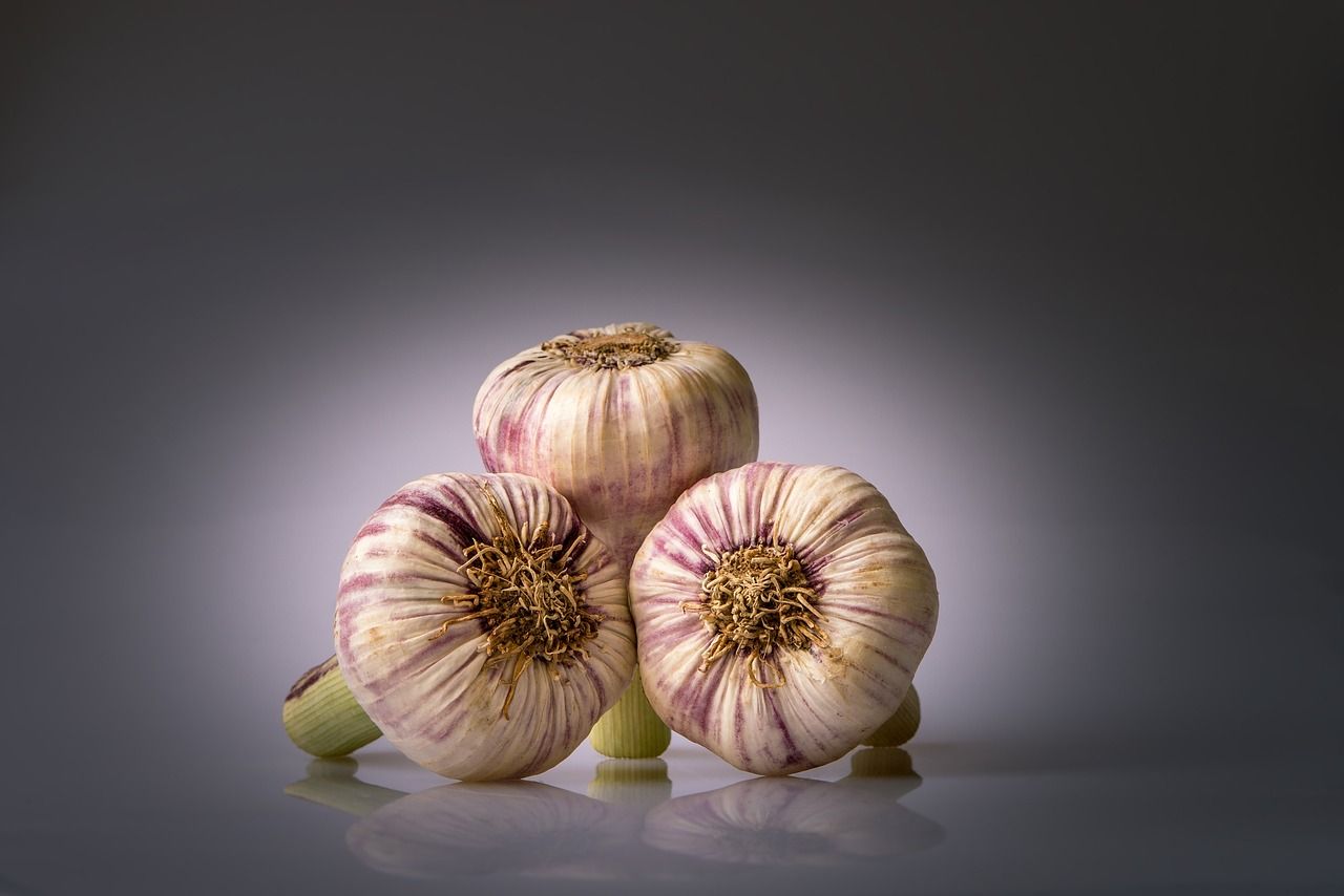 Czosnek – kulinarne i zdrowotne bogactwo Allium sativum L.
