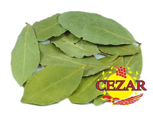 LIŚĆ LAUROWY - Sklep P.H.U CEZAR zdjęcie 1